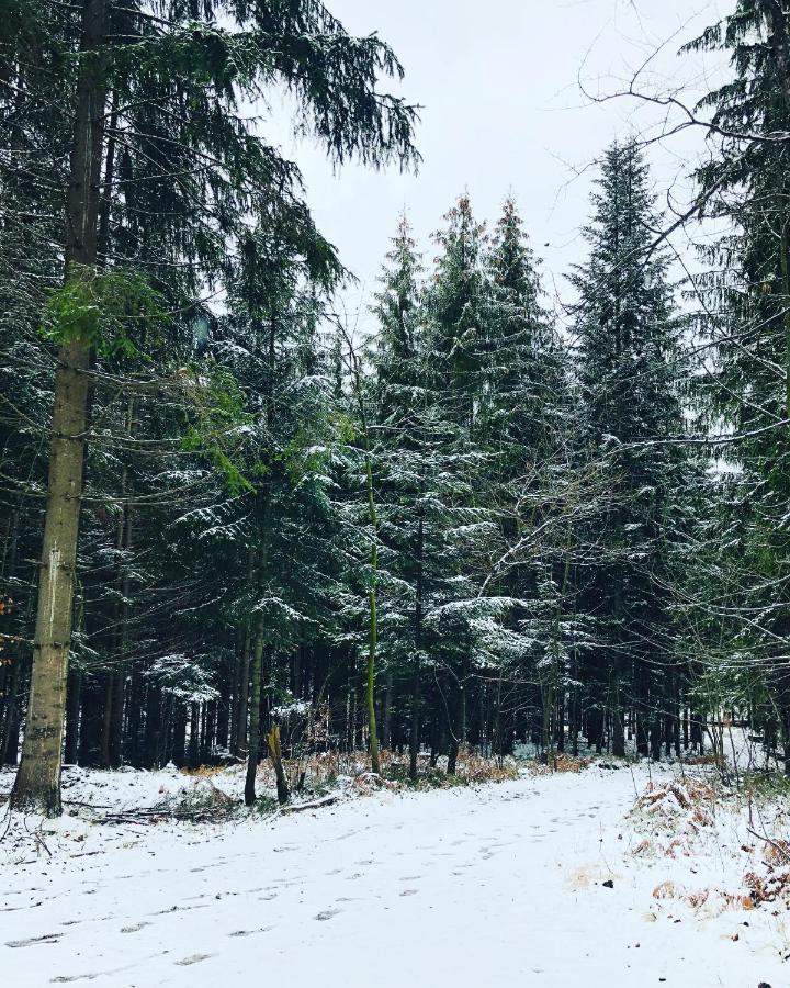 Beskid Wood Houses Jasnowice Εξωτερικό φωτογραφία